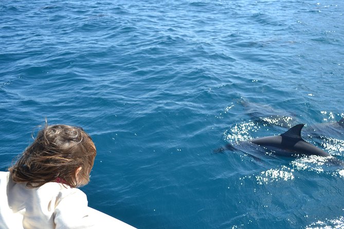 2-Hours Dolphin Excursion in Mauritius - Speedboat views across Mauritius waters