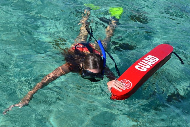 2-Hours Dolphin Excursion in Mauritius - Is $63.97 a fair price?