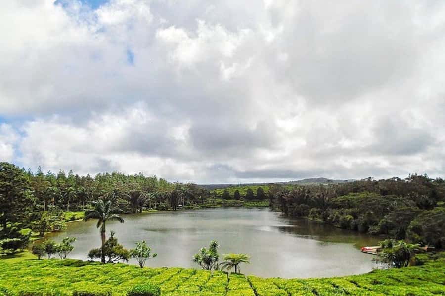 3-Day Private Tour of Mauritius with Optional Dolphin Swim - Tea, tortoises, and Gris Gris in the South