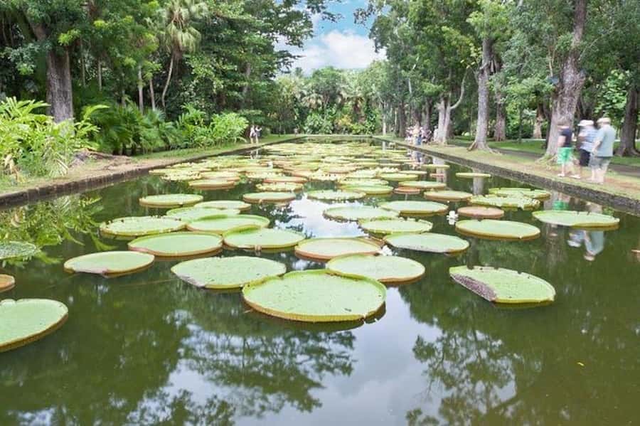 3-Day Private Tour of Mauritius with Optional Dolphin Swim - Who should book this tour?
