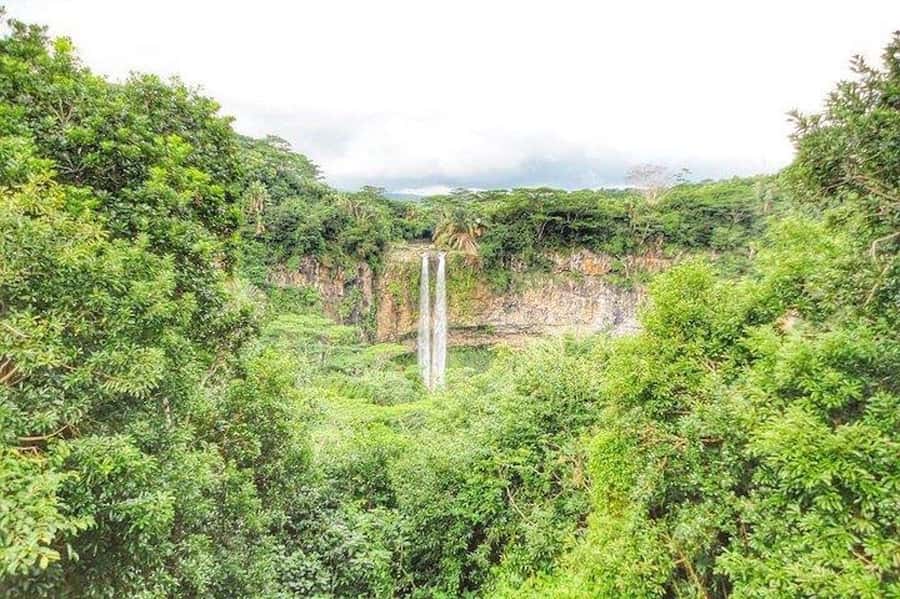 3-Day Private Tour of Mauritius with Optional Dolphin Swim - Pamplemousses and the North’s colonial story