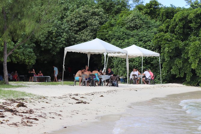 5 island tour all inclusive with Ile aux cerfs and snorkeling - Who will get the most from this outing?