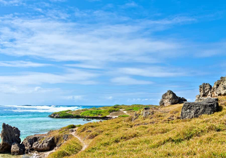 5 Islands Boat Trip, Snorkeling and Lunch on Ile aux Cerfs - Ile aux Aigrettes and the natural side of the trip