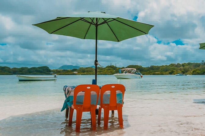 5 Islands Speedboat Cruise incl. Snorkeling in Blue Bay + Lunch at Ile aux Cerfs - Ile aux Aigrettes adds a short break