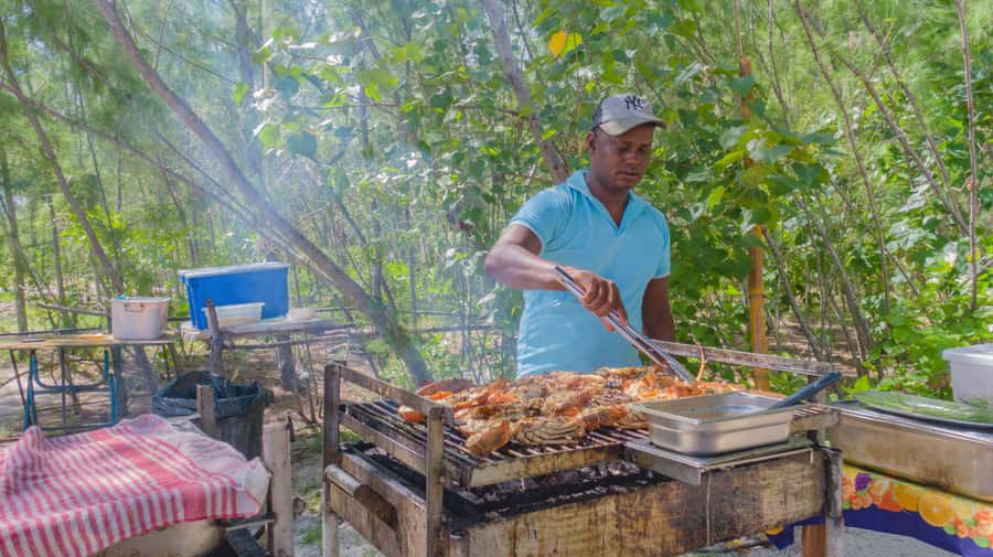5 Islands Speedboat Cruise, Snorkeling + Lunch & Open Bar - Grand River South East Waterfalls from the water