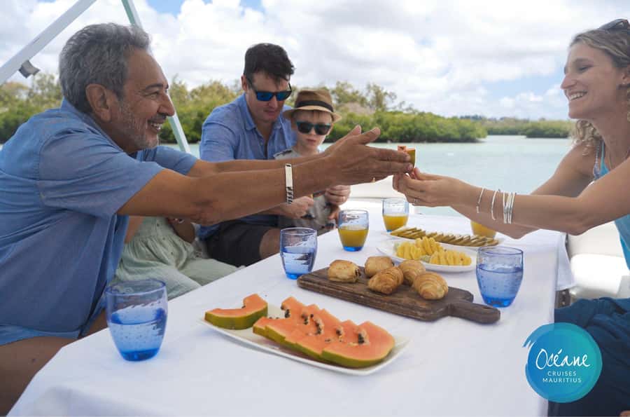 5 Islands Tour: New OCÉANE Private Pontoon Boat cruise - Ile aux Fouquets Lighthouse and lunch afloat