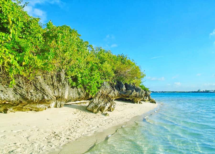 5 Islands Trip & Ile aux Cerfs inc Lunch, Drinks & Transport - Key points before you book