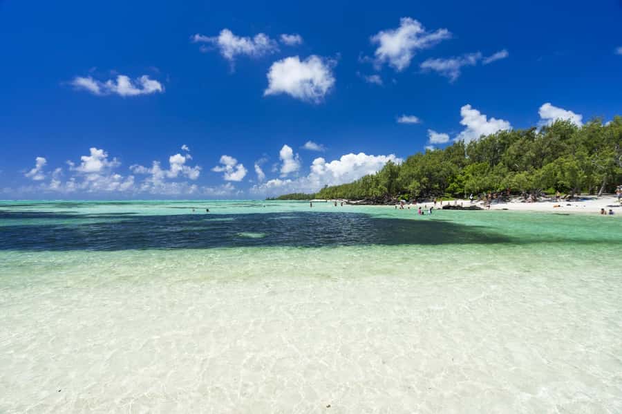 5 Islands Trip & Ile aux Cerfs inc Lunch, Drinks & Transport - Barbecue lunch on Ilot Mangenie