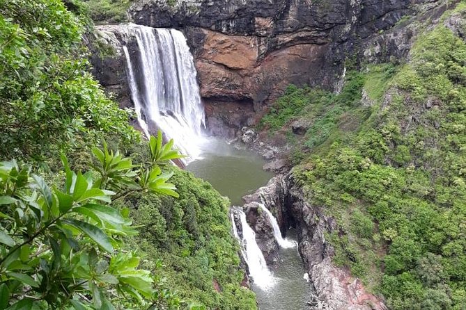 7 Cascades Half Day - Forest paths, basalt rocks, and the first falls