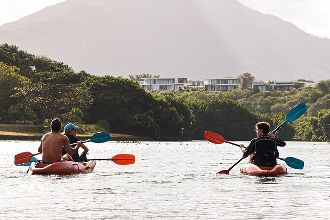 Afternoon Guided Kayak Activity on the Tamarin River - Wildlife spotting on the Tamarin River