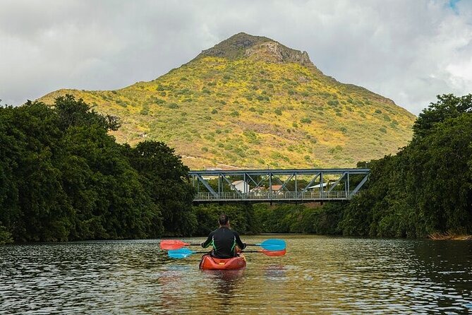 Afternoon Guided Kayak Activity on the Tamarin River - Is $49.40 good value?