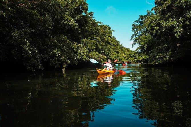 Afternoon Guided Kayak Activity on the Tamarin River - Practical preparation for the river