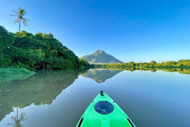 Afternoon Guided Kayak Activity on the Tamarin River - Two river arms beneath the trees