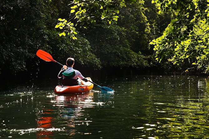 Afternoon Guided Kayak Tour on the Tamarin River - A good family activity, with a few limits