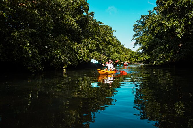 Afternoon Guided Kayak Tour on the Tamarin River - Getting ready for the 1:30 pm launch