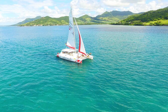 All inclusive CATAMARAN with BBQ : Ile aux cerf & GRSE waterfall - BBQ lunch, rum, cocktails, beer, and dessert