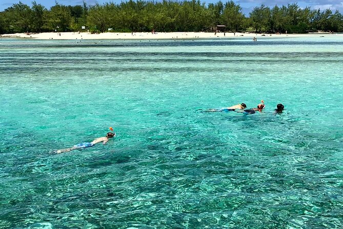 All inclusive CATAMARAN with BBQ : Ile aux cerf & GRSE waterfall - Snorkeling with the included equipment