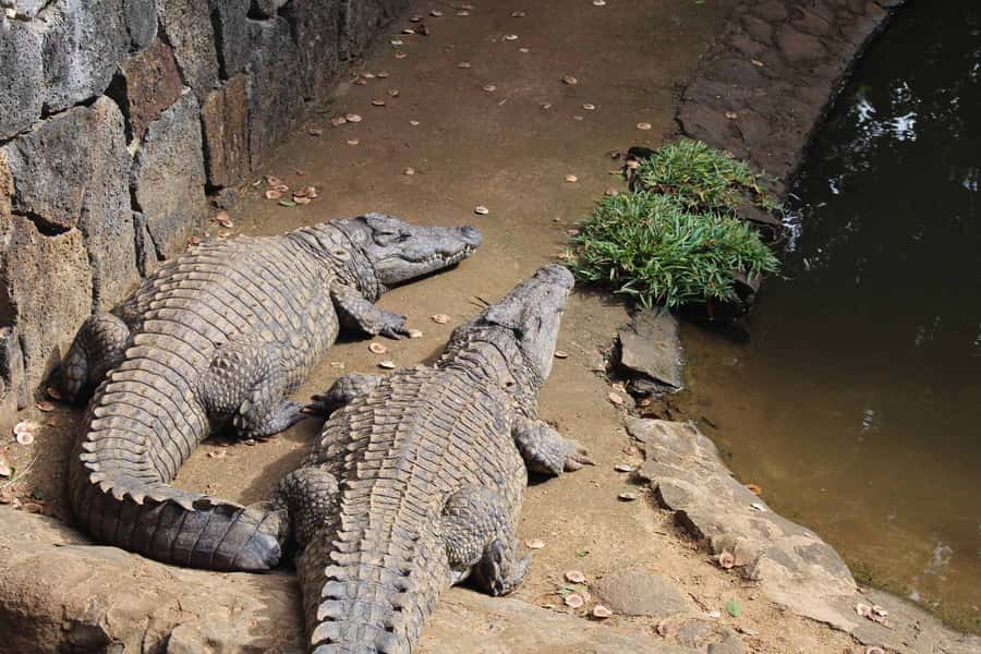 Animal & Nature Parks, Private Tour - The driver and guide can shape the whole day