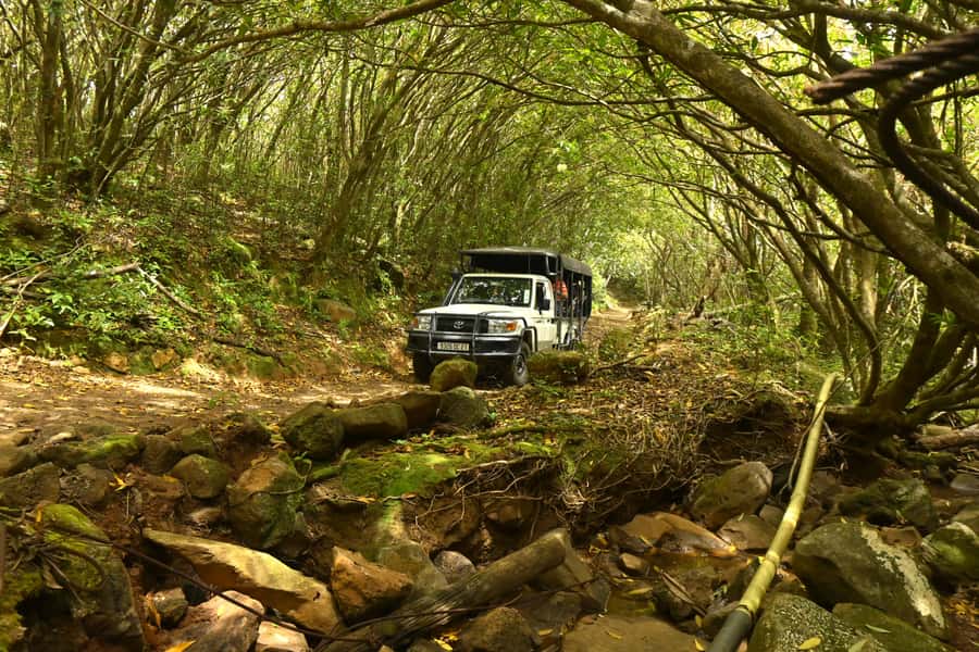 Animal & Nature Parks, Private Tour - Who should book this private Mauritius tour?