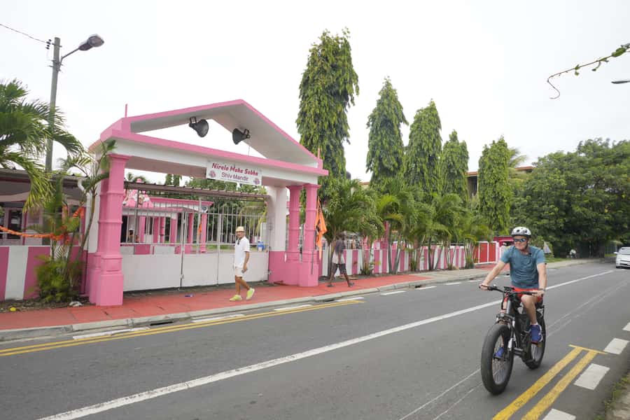 Authentic North East Coast E-bike Guided Tour - Mangroves, oysters, and coastal wildlife