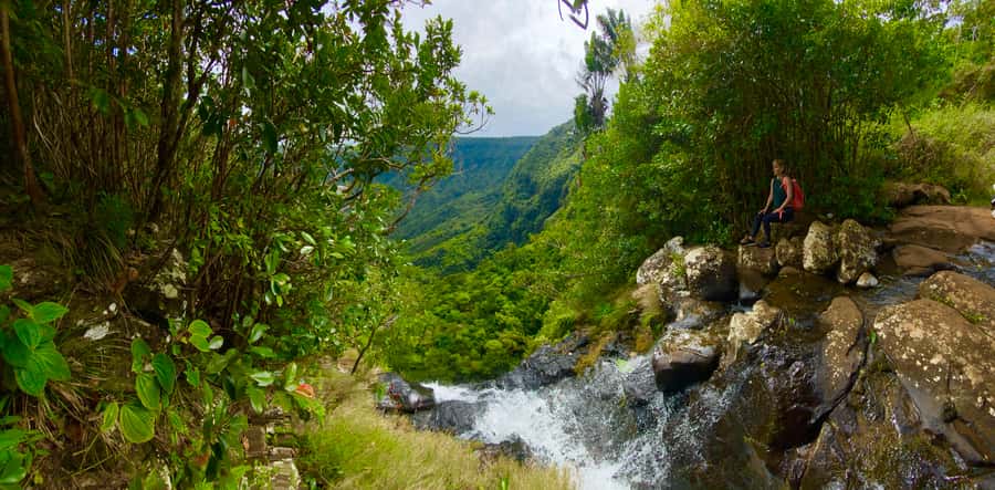 Black River Gorges National Park: Eco Adventure Day Tour - Key points at a glance