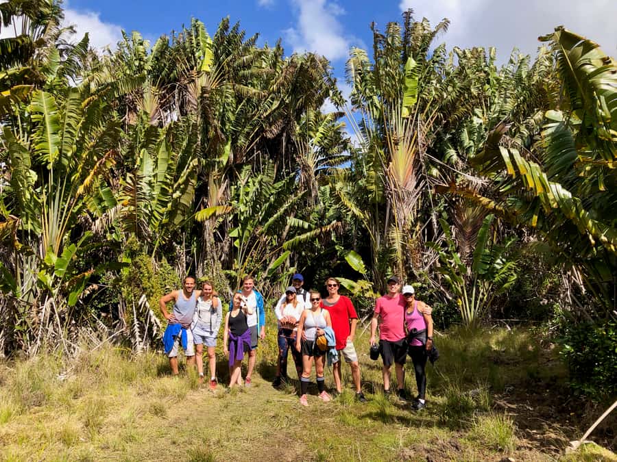 Black River Gorges National Park: Eco Adventure Day Tour - Entering Mauritius’s biggest protected forest
