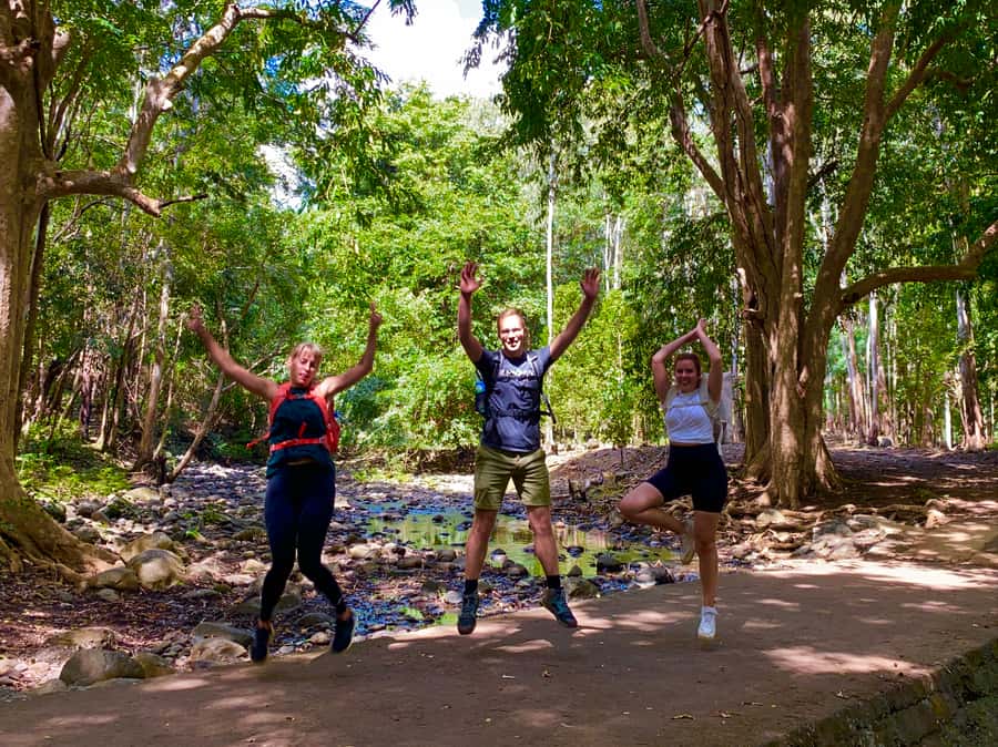 Black River Gorges National Park: Eco Adventure Day Tour - What the small group changes