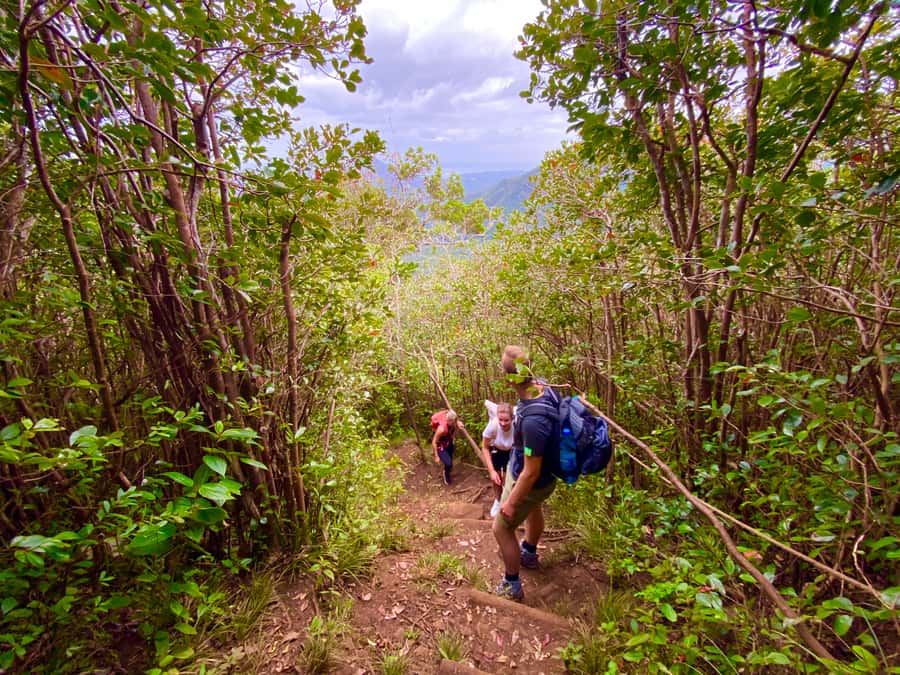 Black River Gorges National Park: Eco Adventure Day Tour - Is $117 a fair price?