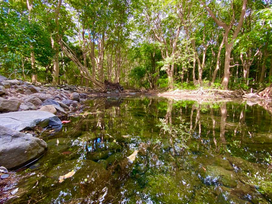 Black River Gorges National Park: Eco Adventure Day Tour - What to pack for six hours outdoors