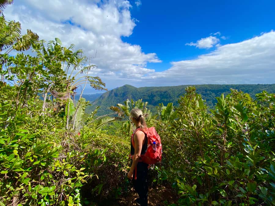 Black River Gorges National Park: Eco Adventure Day Tour - Booking flexibility and practical planning