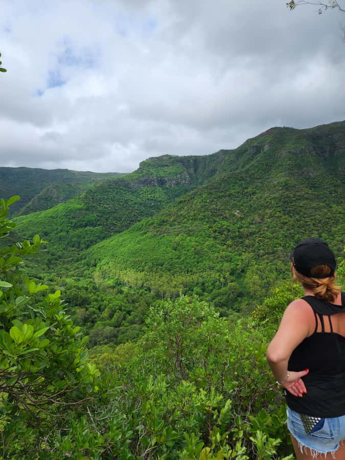 Black River: Guided Hike in the Black River Gorges Valley - Key points to know before booking
