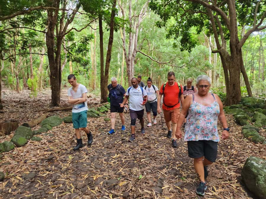 Black River: Guided Hike in the Black River Gorges Valley - Who should book this Black River hike?