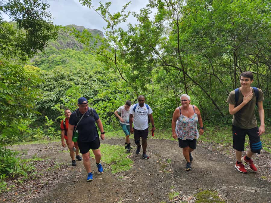 Black River: Guided Hike in the Black River Gorges Valley - What the Black River Gorges experience is really like