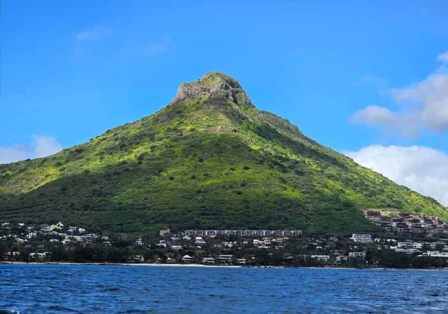Black River: Swim with Dolphin Speed Boat Tour with lunch - Lunch on Île aux Bénitiers