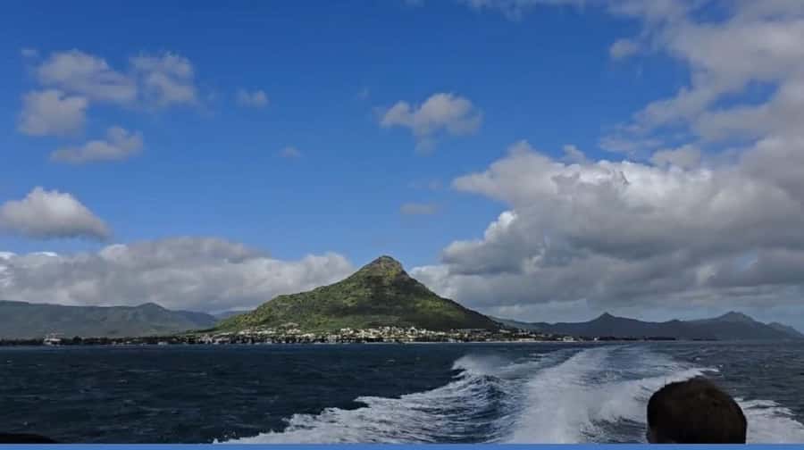 Black River: Swim with Dolphin Speed Boat Tour with lunch - Free time, beach walks, and the missing toilet