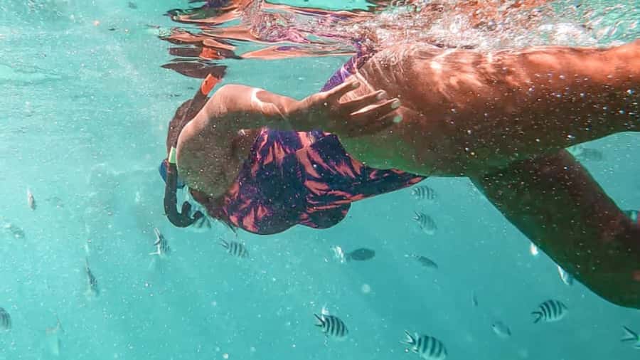 Blue Bay: Blue Bay Glass Bottom Boat Visit and Snorkeling - Key points before you book