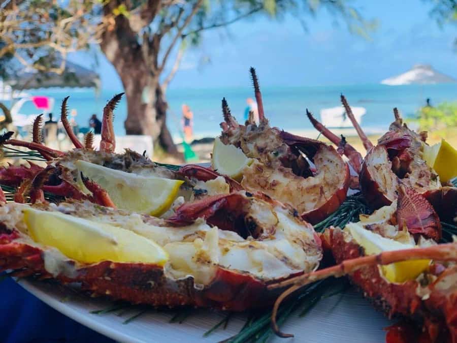 Blue bay: boat trip for ile au cerf (5 islands, barbecue) - Ile aux Aigrettes for swimming and photographs