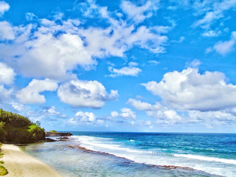 Blue Bay Glass Bottom Boat, Adventure Park & Gris Gris - Key points to know before booking