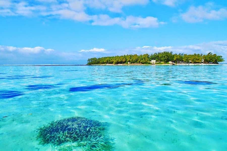 Blue Bay Glass Bottom Boat, Adventure Park & Gris Gris - Blue Bay Beach offers a pause after snorkeling