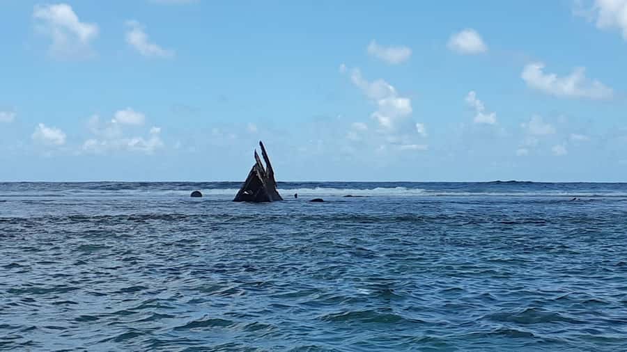 Blue Bay: Half-Day Snorkeling Trip with Creole Picnic Lunch - Why Blue Bay makes a good snorkeling base
