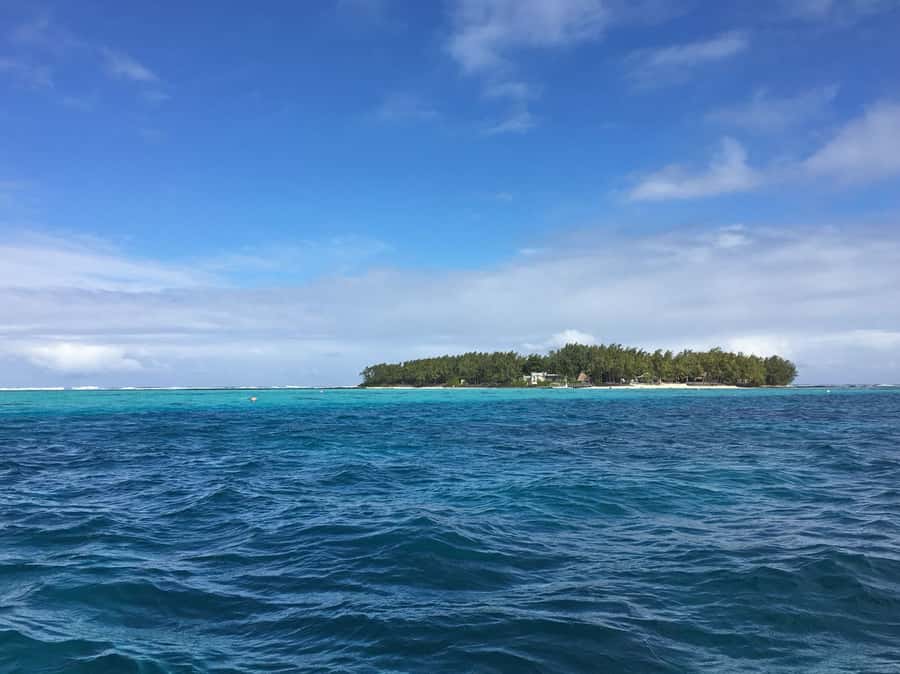 Blue Bay: Half-Day Snorkeling Trip with Creole Picnic Lunch - The crew, guiding, and overall feel