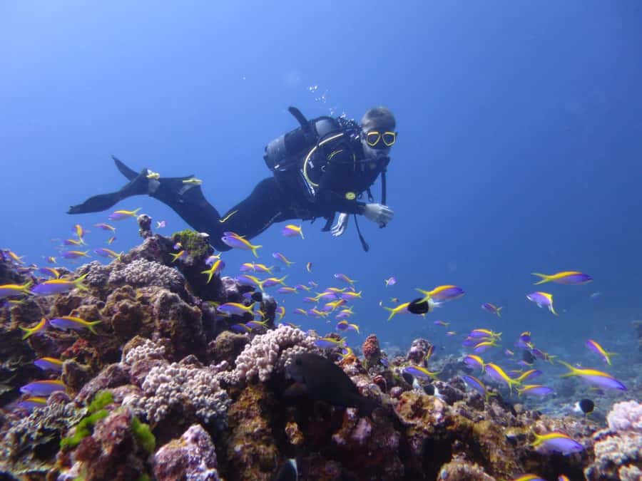 Blue Bay: LEARN TO DIVE TODAY with CORAL DIVING Team - Shallow-water practice before open water