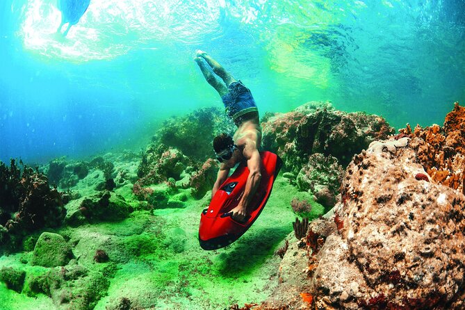 Boat trip + 30 mn SEABOB - What is supplied, and what you need to bring