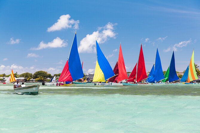 Car Hire for a Day with Driver - 8 Hours - Pamplemousses and Mauritius culture