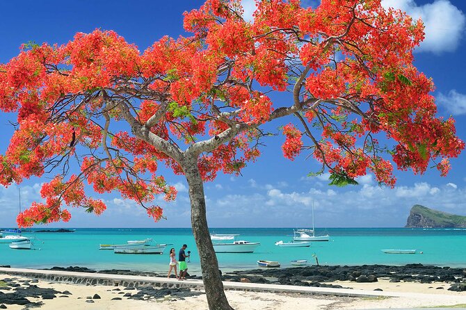 Car Hire for a Day with Driver - 8 Hours - Southern scenery and volcanic views
