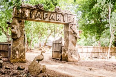 Casela World of Adventures, West of Mauritius – Full Day + Lunch