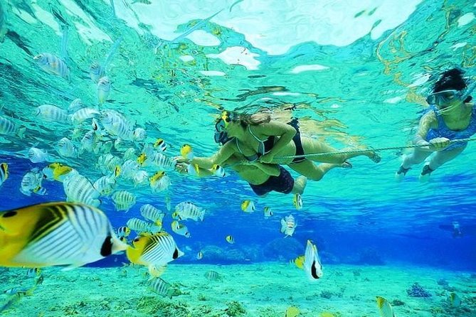 Catamaran Adventure Full Day: Ile aux cerfs,GRSE Waterfall,Snorkeling &BBQ Lunch - BBQ lunch and the open bar