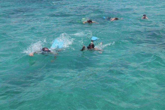 Catamaran Cruise: Isle aux Cerfs, Including BBQ Lunch, in Mauritius - Dolphins, monkeys, bats, and the limits of wildlife watching