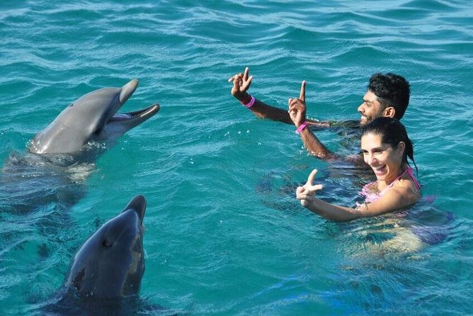Catamaran Cruise to Ile Aux Bénitiers: Dolphin watch, Crystal Rock & Transfer - What the $121.95 price really includes