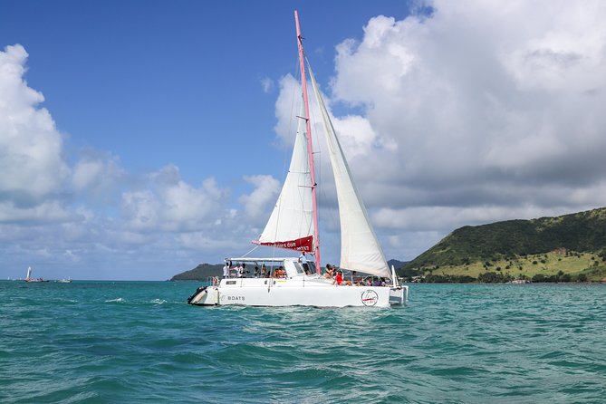 Catamaran cruise to Ile aux cerfs with bbq lunch - Key points at a glance